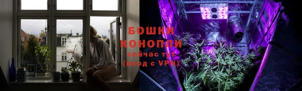 шишки Протвино
